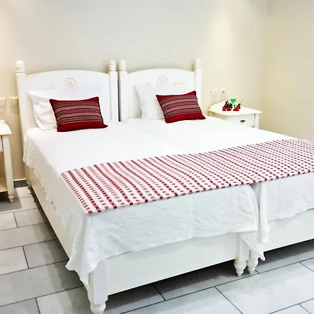 公寓式酒店 瓦西利科斯公寓式酒店 Naxos City